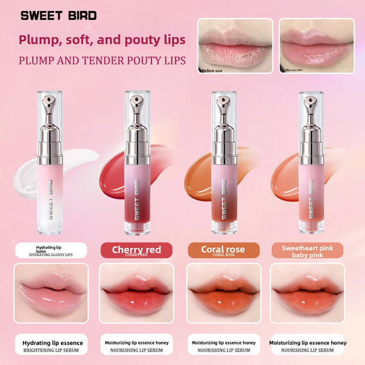 Sweet Bird Mirror Lip Gloss